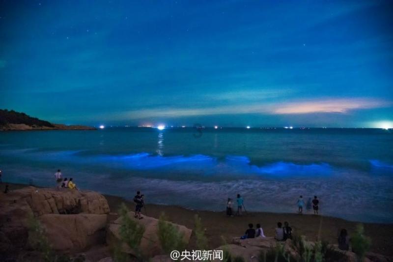 魏春辉代表:深入推进数字乡村建设为共同缔造注智赋能